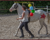 1-13JUIN 1233
